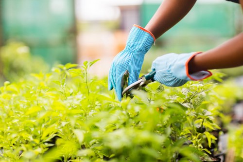 Accepted payment methods for Tree Surgeons Finchley