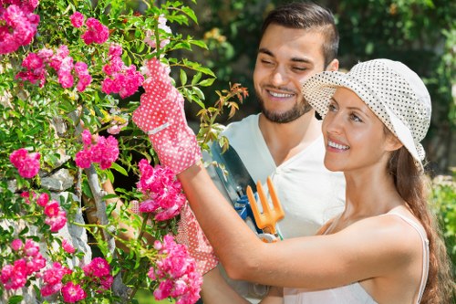Hedge maintenance for homes and businesses around Finchley
