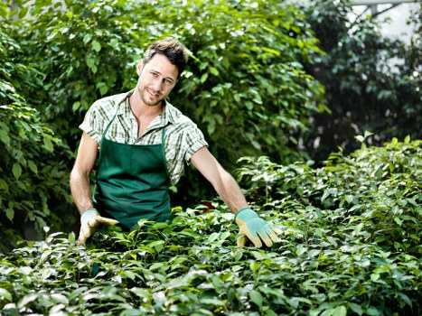 Final pricing summary for Finchley tree surgeons and quotes