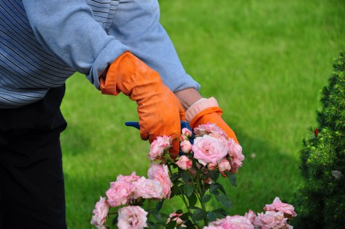 Skilled tree surgeons managing canopy care in Finchley