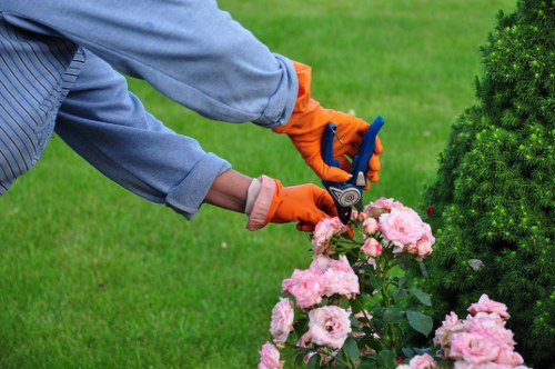 Professional arborist pruning a tree canopy with careful technique